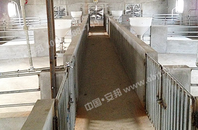 畜牧养殖场内部分布