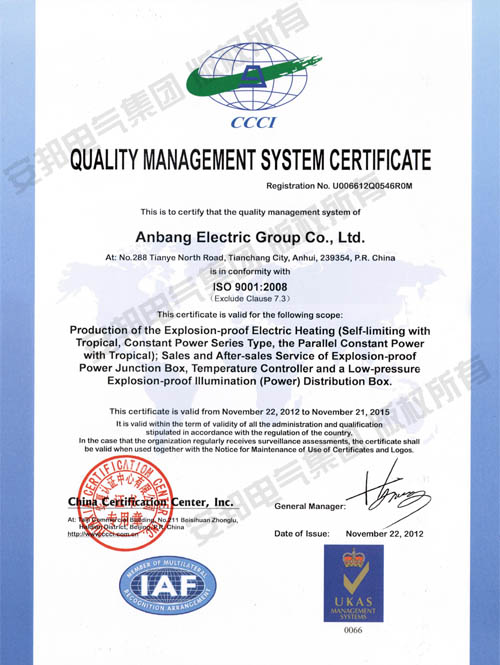 ISO9001:2008国际质量体系认证（英文版）