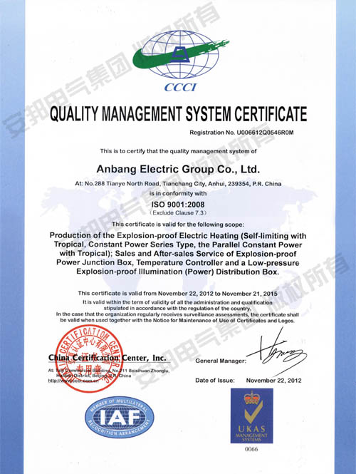 ISO9001:2008ϵ֤Ӣİ棩